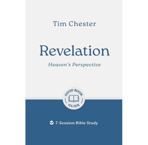 Revelation: Heaven's Perspective