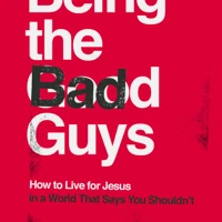 Being the Bad Guys (ebook)