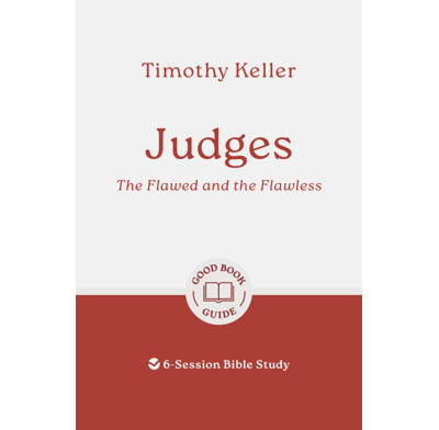 Judges: The Flawed and the Flawless