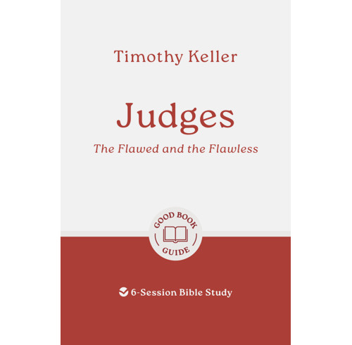 Judges: The Flawed and the Flawless