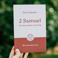 2 Samuel: The Fall and Rise of the King
