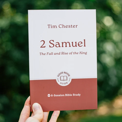 2 Samuel: The Fall and Rise of the King