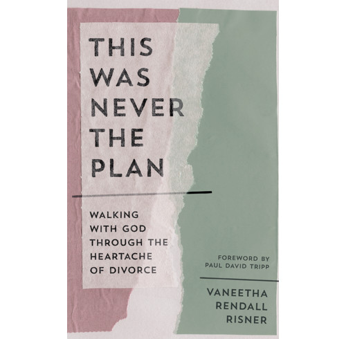 This Was Never the Plan (ebook)