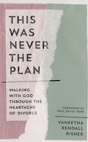 This Was Never the Plan (ebook)
