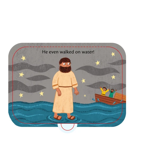 What Are Feet For? Board Book
