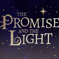 The Promise and the Light (audiobook)