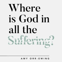 Where Is God in All the Suffering? (audiobook)