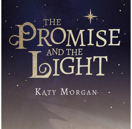 The Promise and the Light (audiobook)