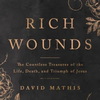 Rich Wounds (audiobook)
