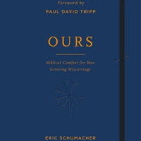 Ours (ebook)