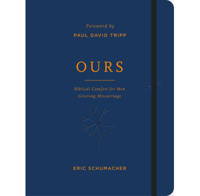 Ours (ebook)