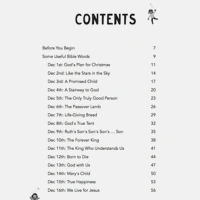 A Jesus Christmas (ebook)