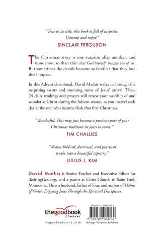 The Christmas We Didn't Expect (ebook)