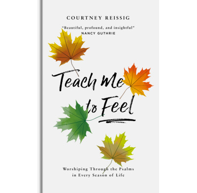 Teach Me To Feel (audiobook)