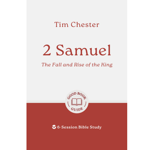 2 Samuel: The Fall and Rise of the King (ebook)