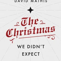 The Christmas We Didn't Expect (ebook)