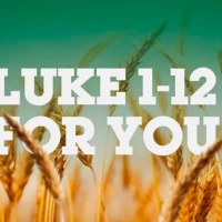 Luke For You Set