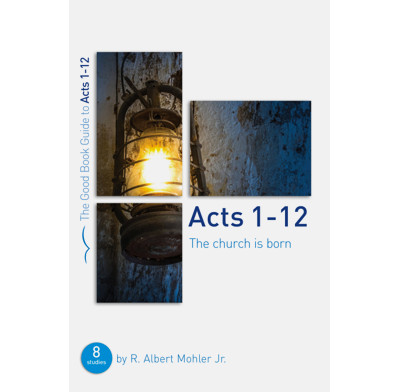 Acts 1-12: The Church is Born (ebook)