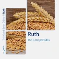Ruth: The Lord Provides (ebook)