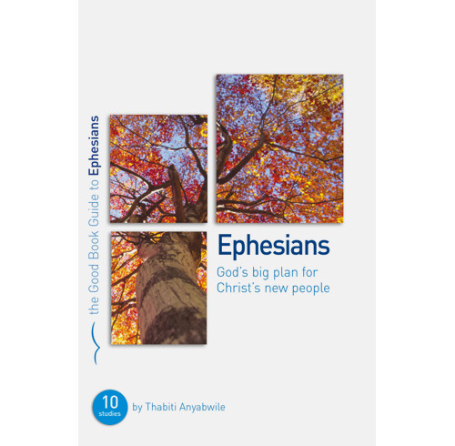 Ephesians: God's Big Plan for Christ's New People