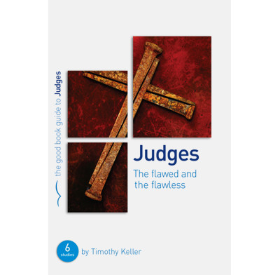 Judges: The flawed and the flawless (ebook)