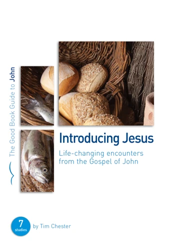 John: Introducing Jesus (ebook)