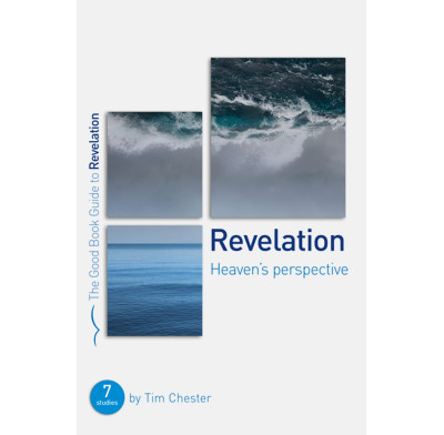 Revelation: Heaven's perspective (ebook)