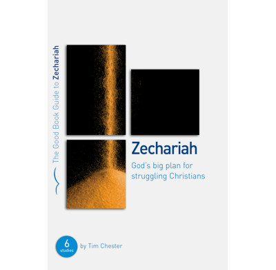Zechariah: God's Big Plan for struggling Christians (ebook)