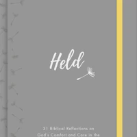 Held (ebook)