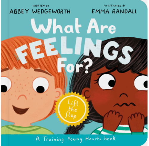 What Are Feelings For? Board Book