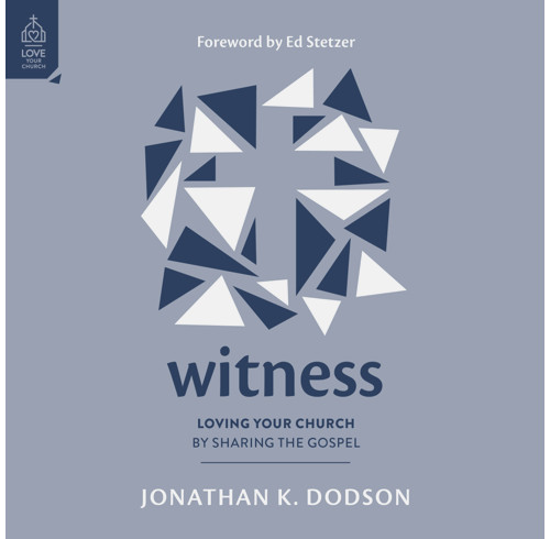 Witness (Audiobook)