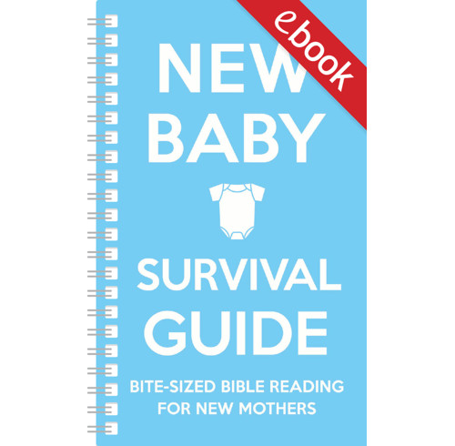 New Baby Survival Guide (ebook)