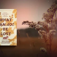 What Cannot Be Lost (audiobook)