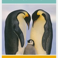 Putting Parenting to Bed - DVD