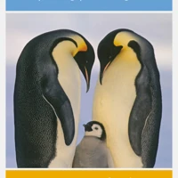 Putting Parenting to Bed - Study Guide