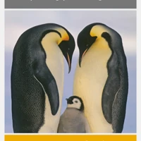 Putting Parenting to Bed - Leader's Guide