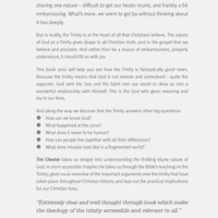 Delighting in the Trinity (ebook)