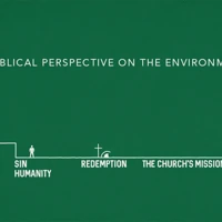 The Environment