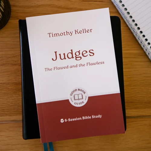 Judges: The Flawed and the Flawless