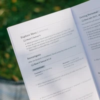 2 Samuel: The Fall and Rise of the King