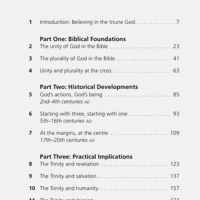 Delighting in the Trinity (ebook)