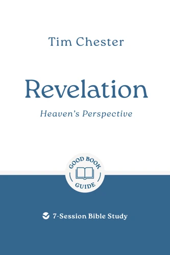 Revelation: Heaven's Perspective (ebook)