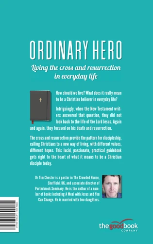 Ordinary Hero (ebook)