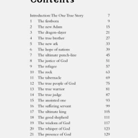 The One True Story (ebook)