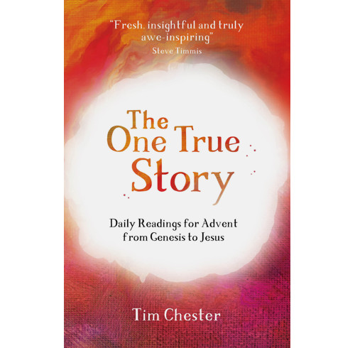 The One True Story (ebook)