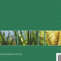 Discipleship Explored: Universal Edition Study Guide