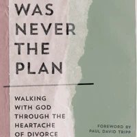 This Was Never the Plan