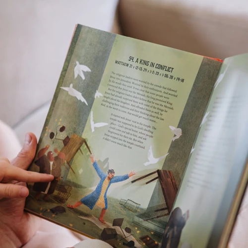 The Kingdom and the King Storybook Bible