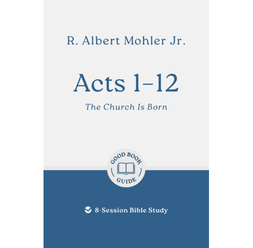 Acts 1-12: The Church is Born (ebook)