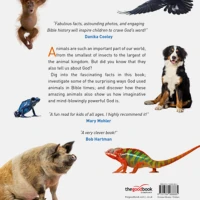 All About Bible Animals